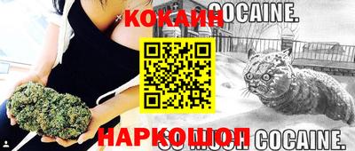 дживик Будённовск