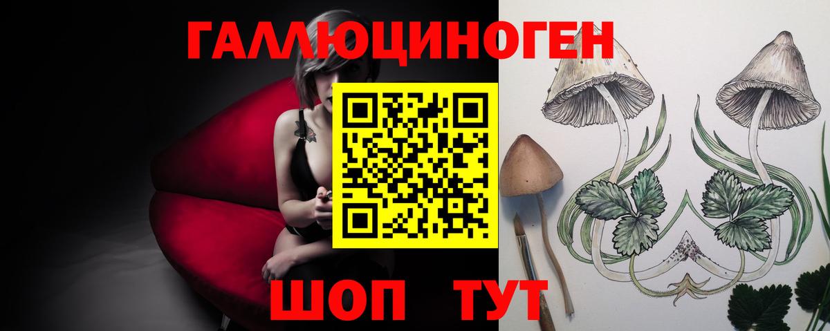 Псилоцибиновые грибы Cubensis Краснокаменск